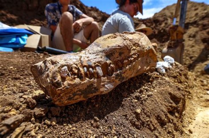 Discoveries In The Israel Gutierrez Disappearance